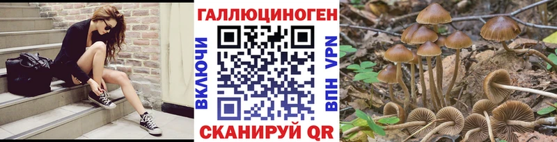 Галлюциногенные грибы GOLDEN TEACHER  mega вход  Кольчугино 