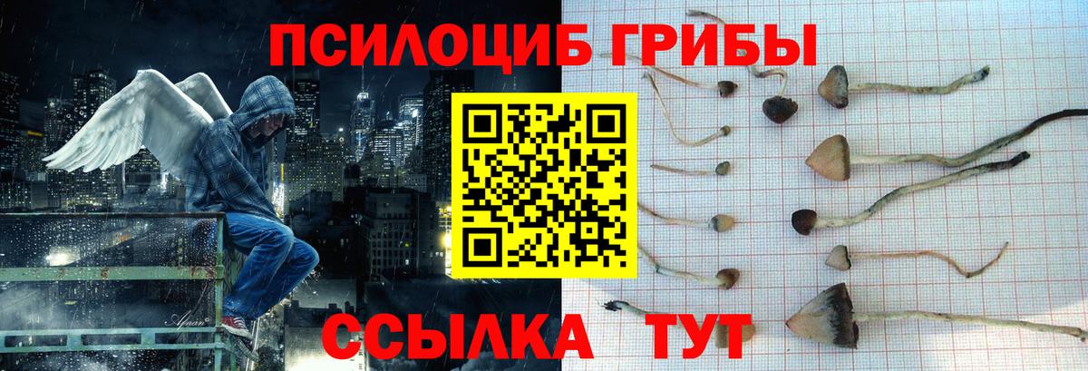 Галлюциногенные грибы GOLDEN TEACHER  Вход с VPN  Галлюциногенные грибы Magic Shrooms  даркнет сайт  Кольчугино 