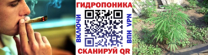 что такое наркотик Кольчугино Шишки марихуана OG Kush